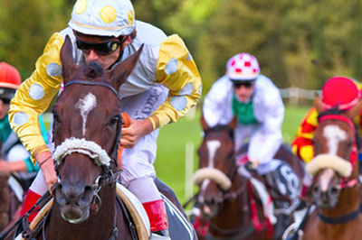 Automated Betting (Privilege2Invest) Image